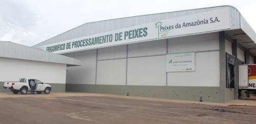Peixes da Amazônia é arrematada por R$ 13,1 milhões Peixes da Amazônia é arrematada por R$ 13,1 milhões