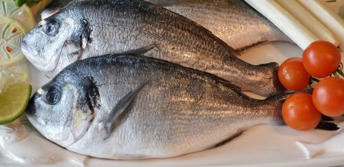 Expo de pescado caem 18% e impo sobem 5% no 1º bi do ano
