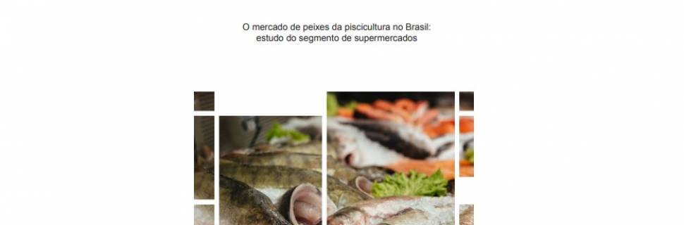 Pesquisa revela preferência do consumidor por peixe da pesca extrativa