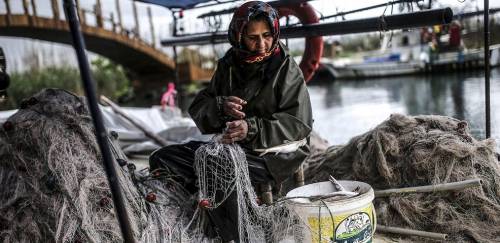 Especial Sofia 2020: Pescado movimentou US$ 164 bilhões em 2018