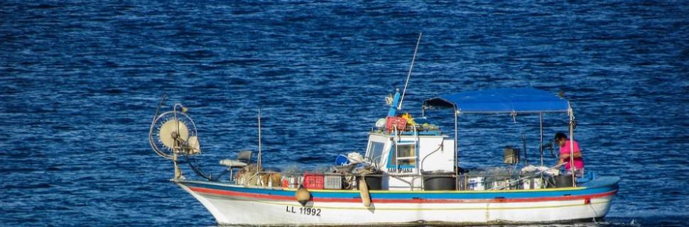 Mudanças climáticas prejudicam estoques pesqueiros, diz cientista