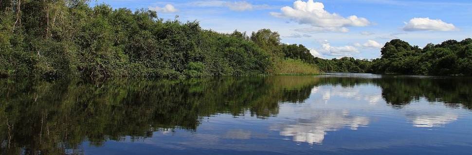 No Pantanal, pesquisadores temem impactos posteriores às queimadas 