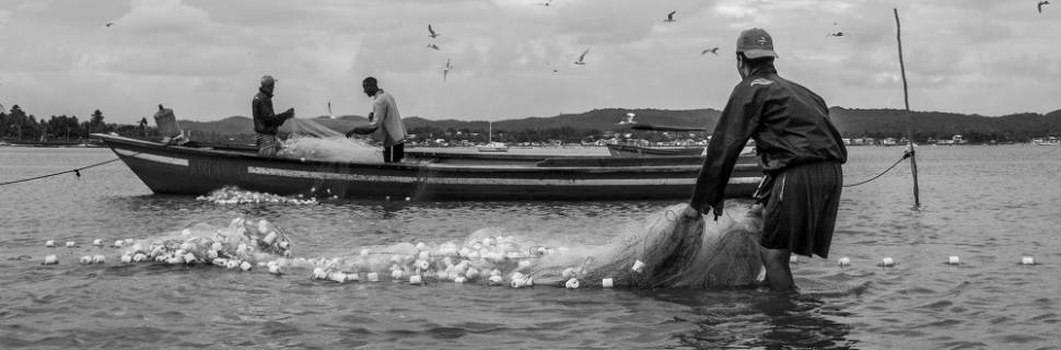 Pescadores do sul catarinense mostram decepção com safra da tainha