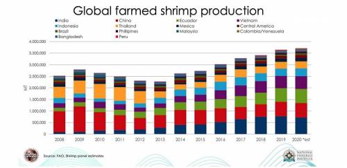 Produção global de camarão deverá chegar a 4 milhões de t em 2020