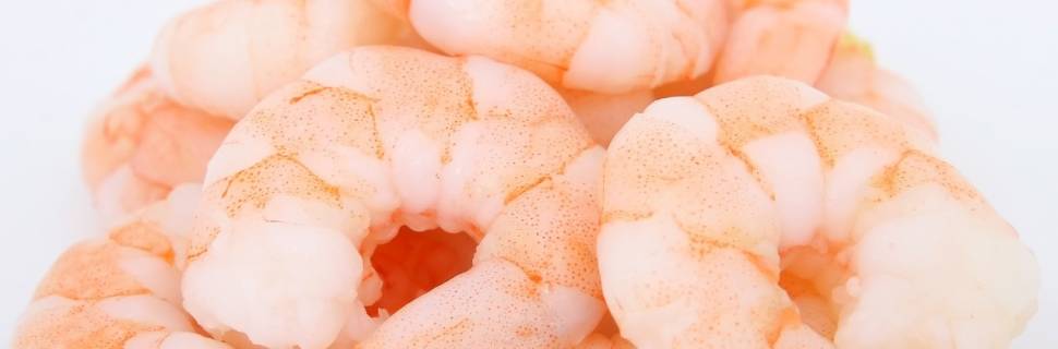 Tratamento pode aumentar vida de prateleira do camarão processado