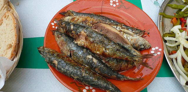 Conheça os benefícios da sardinha
