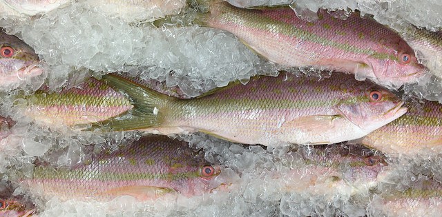 Preço do pescado sobe na China
