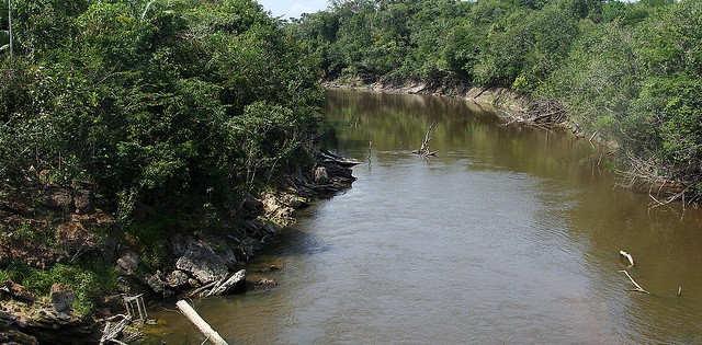 Tocantins terá oito novos parques aquícolas