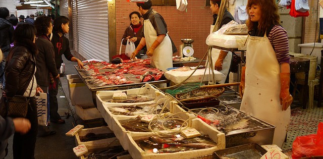 Polêmica política entre Noruega e China afeta exportações de salmão