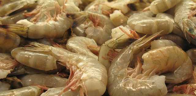 Produtores do Rio Grande do Norte retomam exportações de camarão