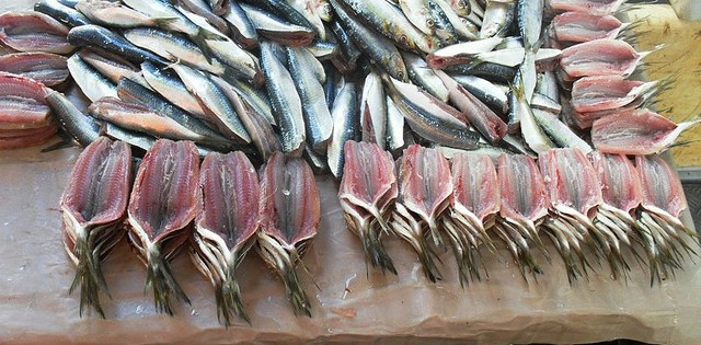 Em risco, sardinha pode ganhar substituto no mercado