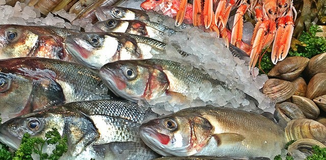 Folha de S.Paulo analisa expansão da oferta de pescado no Brasil