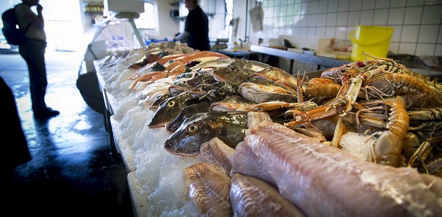 Brasil se aproxima da meta da OMS de consumo de peixe por ano