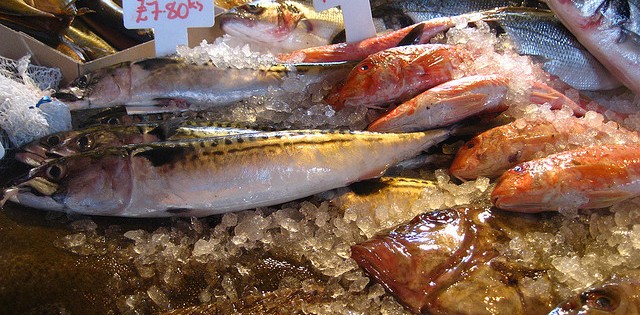 Consumidores já sentem a alta no preço do quilo do pescado devido ao período de defeso