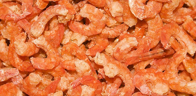Produção de camarão de água salgada pode ficar até 10 vezes mais barata