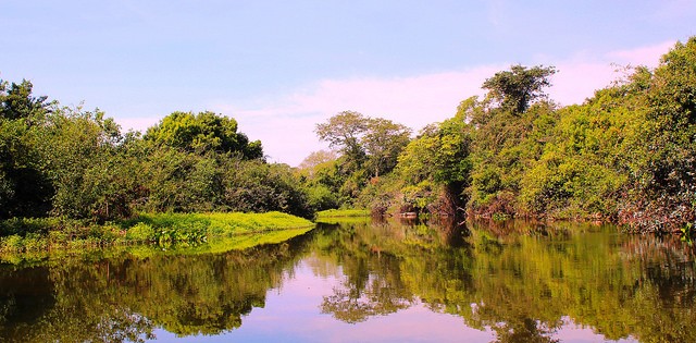 Projeto de Lei que proíbe pesca no Pantanal por cinco anos gera polêmica