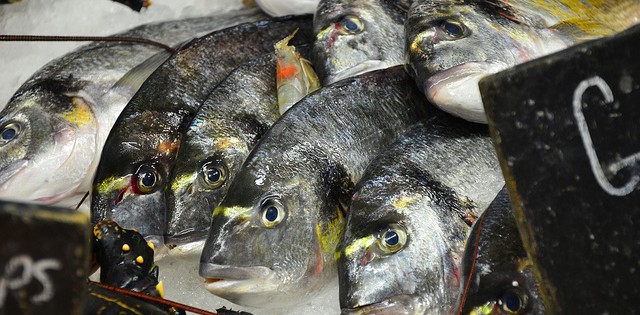 Polícia Federal investiga fraude envolvendo peixe chinês em Santa Catarina