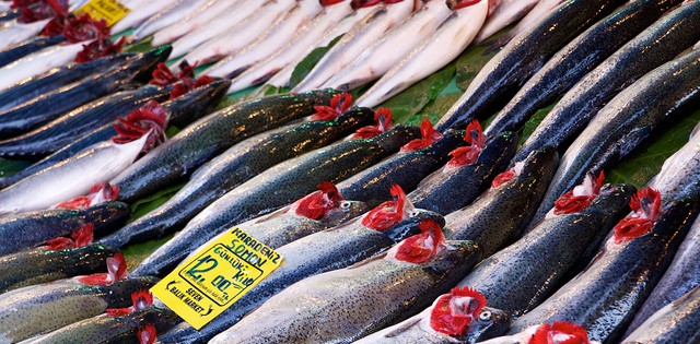 Pescado representa 17% da proteína consumida no mundo