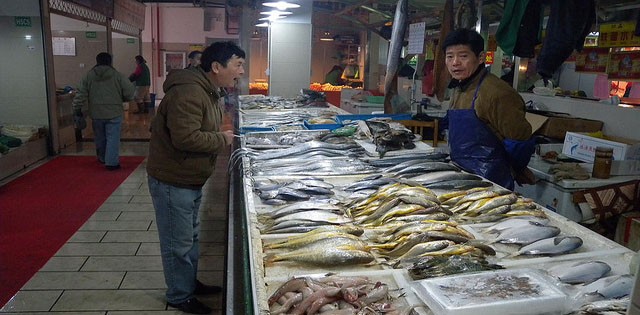 China pede liberação de pescado em portos do Brasil para OMC