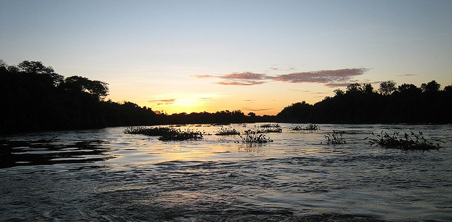 Mato Grosso do Sul amplia em 42% sua produção de pesca
