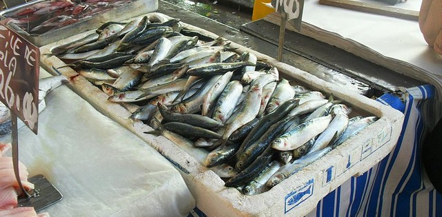 Camex reduz imposto para importação de sardinha