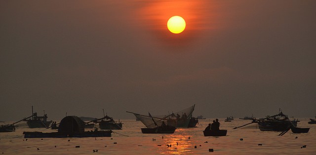 Suspensa a importação de pescados do Vietnã