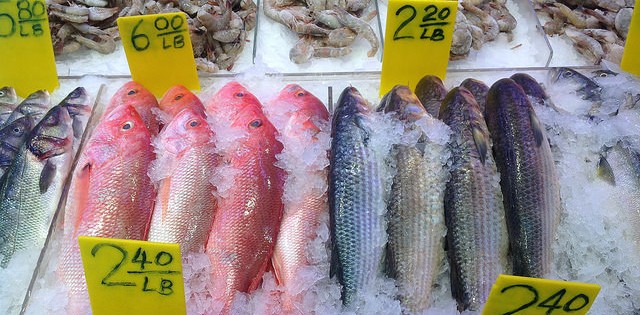 Crescimento de 12% na venda de pescado durante a Semana do Peixe