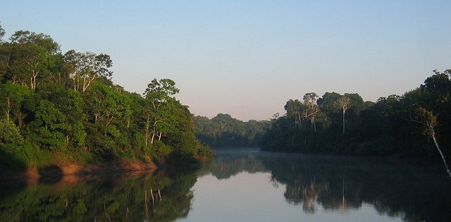 Projeto pretende monitorar estoque de pescado no Pará