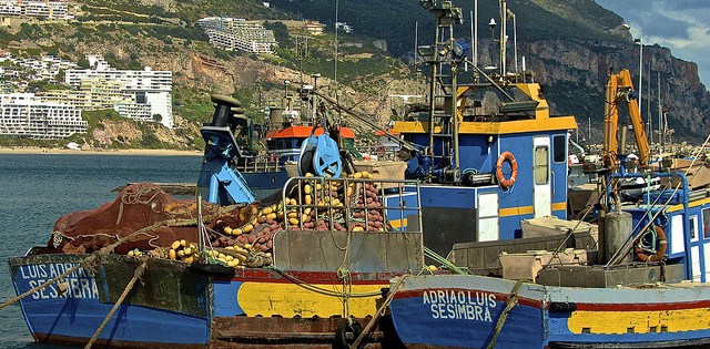 “A pesca brasileira precisa de gestão”, dizem lideranças do setor