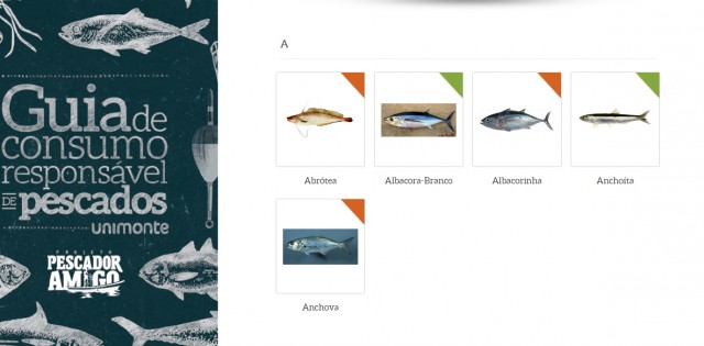 Novo guia de consumo responsável de pescado põe badejo e cação na lista de sobrepesca