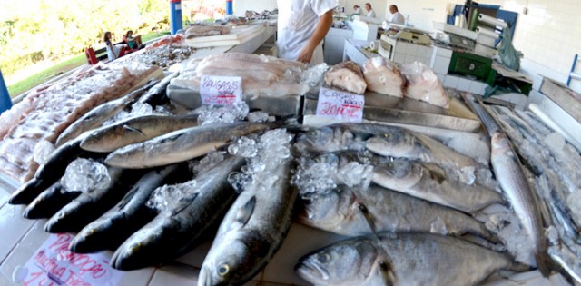 Feirões do peixe na Semana Santa têm recordes positivos e poucas quedas de vendas