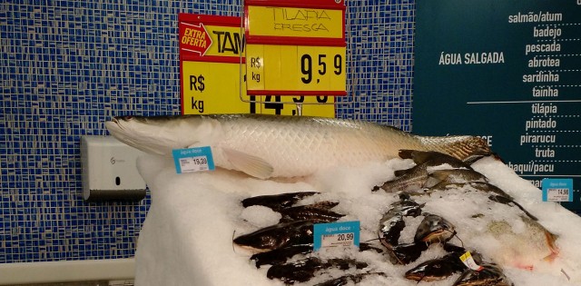 Semana do Peixe 2018: PeixeBR foca no consumidor para aumentar consumo de peixe cultivado