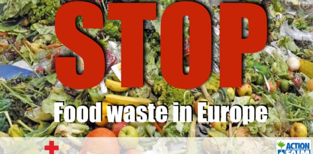 França aprova lei contra desperdício de alimentos; 1/3 do pescado produzido no mundo é descartado