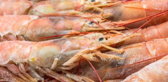ABCC consegue acórdão favorável e importação de camarão argentino segue proibida