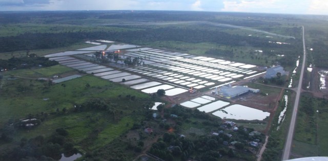 PPM 2016: Sudeste cresce 43% em produção, mas Rondônia se consolida na liderança da piscicultura nacional