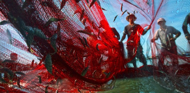 Com 30 países, tratado da FAO contra pesca ilegal vai vigorar em junho; Brasil já aderiu