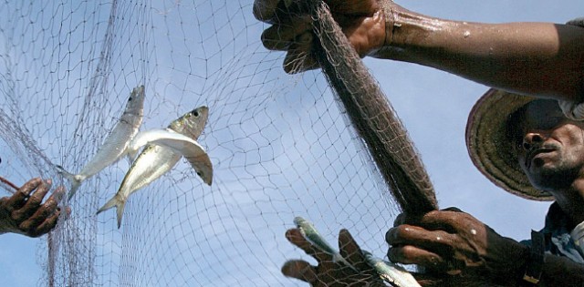 Só SP, SC e RJ têm dados sobre pesca fantasma; problema atinge 70% do litoral, diz ONG
