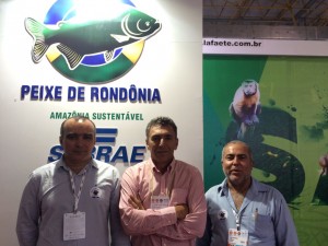Maurício, Vildemar e José Barroso, cooperados de Rondônia