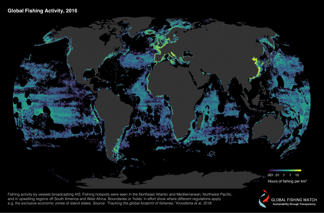 Pesca cobre mais de 55% dos oceanos; impacto é maior onde não há gestão pesqueira