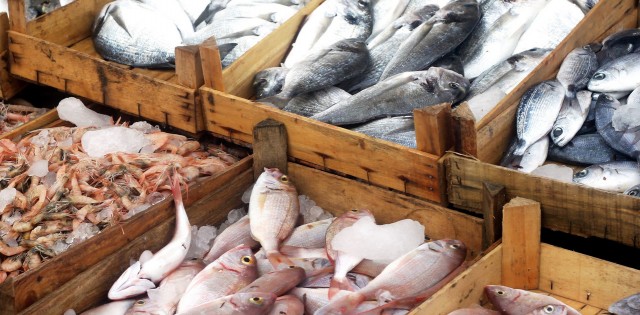 Pescado europeu mais caro neste final de ano
