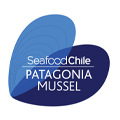 Patagonia Mussel