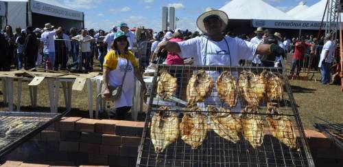  Em Brasília, Festival Tambaqui dá visibilidade ao peixe amazônico