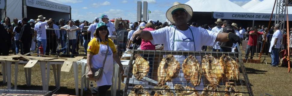  Em Brasília, Festival Tambaqui dá visibilidade ao peixe amazônico