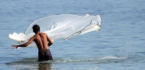 Seguro-Defeso: veja o que muda com novo decreto homologado em junho 