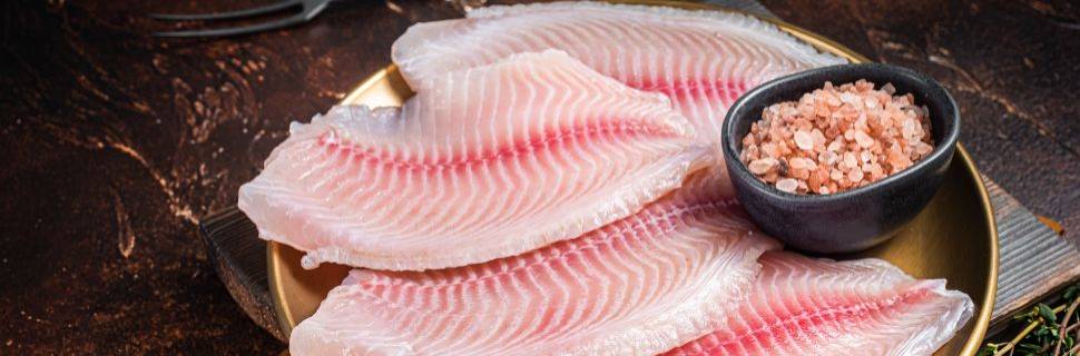 Os ingredientes para os antídotos da indústria do pescado em 2026 Os ingredientes para os antídotos da indústria do pescado em 2026