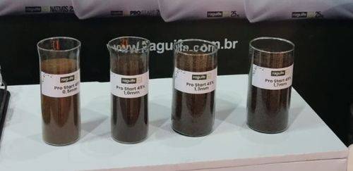Raguife focou em nutrição e expansão fabril durante a Aquishow Brasil Raguife focou em nutrição e expansão fabril durante a Aquishow Brasil