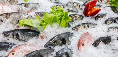 Preço do pescado permanece estável frente à alta das demais proteínas