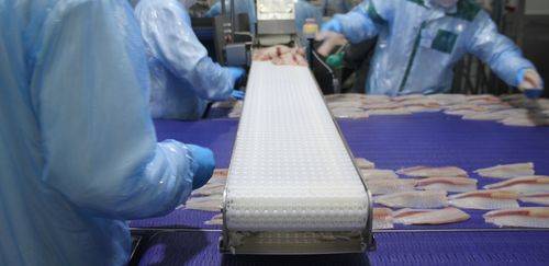 Decisão nos EUA reabre mercado, mas expõe gargalos globais