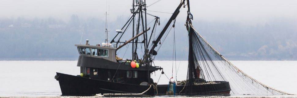 Os altos e baixos na realidade da pesca industrial brasileira