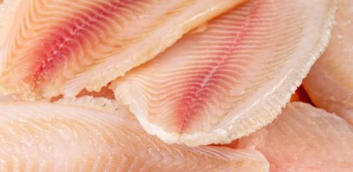 Tarifaço de Trump cria cenários distintos para o pescado brasileiro